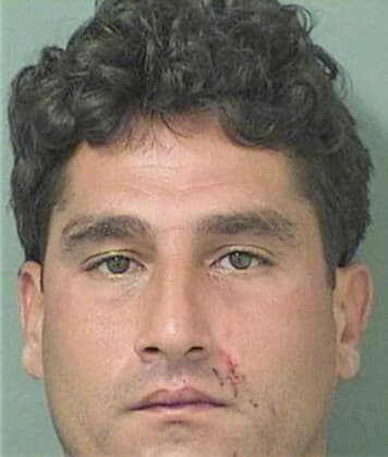 Felipe Alvarezdonoso, - Palm Beach County, FL 